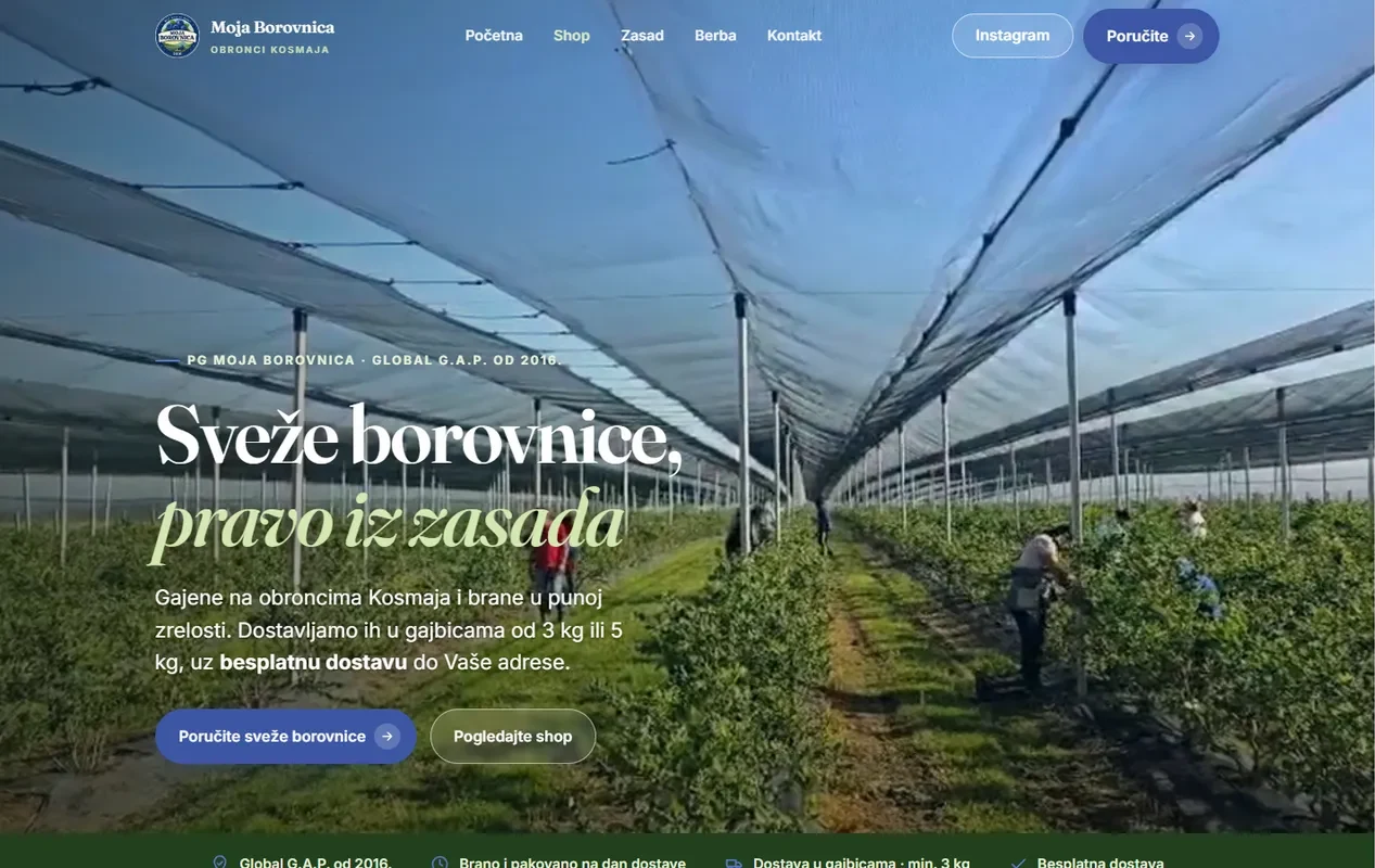 Početna strana sajta Moja Borovnica — sveže borovnice iz zasada